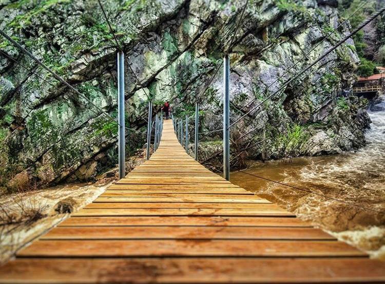 Mira Douro Valley Home Marco de Canavezes Dış mekan fotoğraf